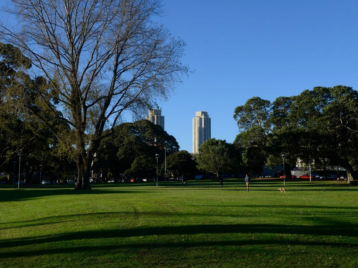 Sydney Park in daylight, open field