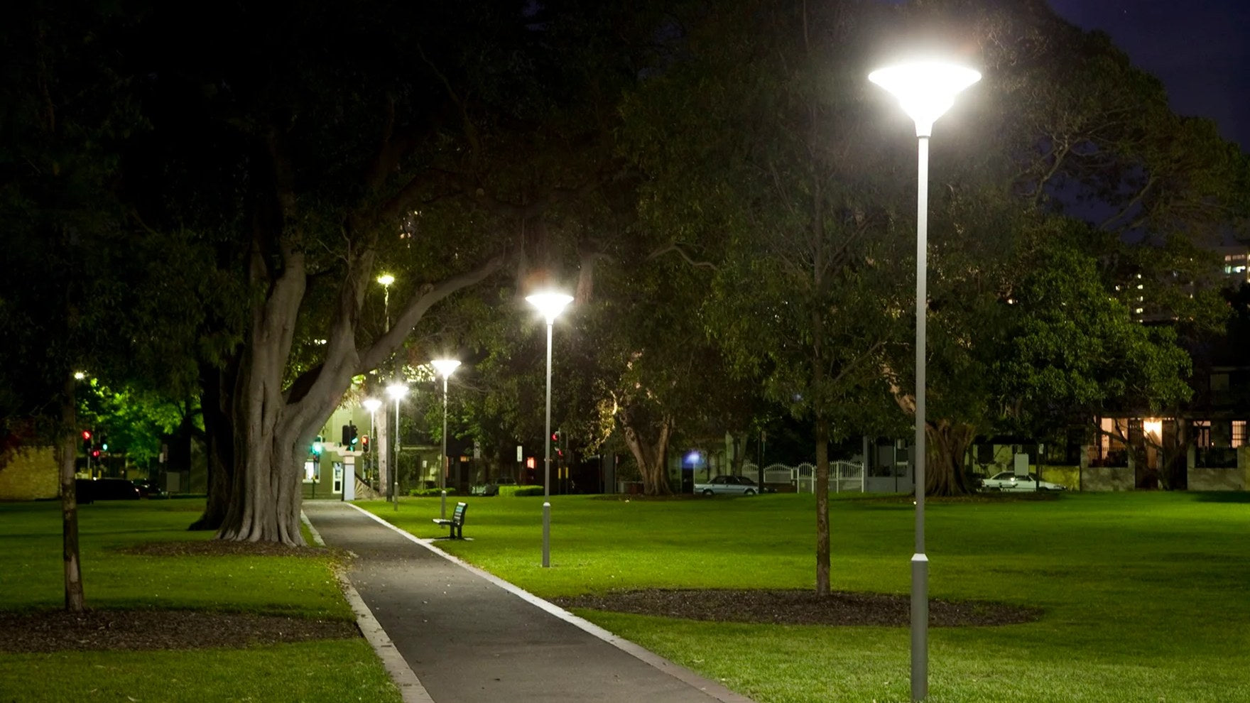 Sydney Park at night, lit path and fig trees